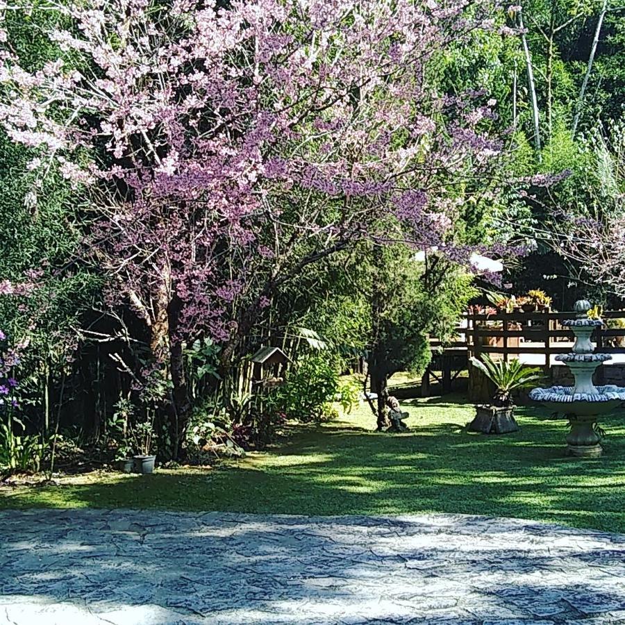Havila Arara Azul Нова-Фрибурго Екстериор снимка