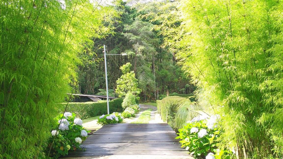 Havila Arara Azul Нова-Фрибурго Екстериор снимка